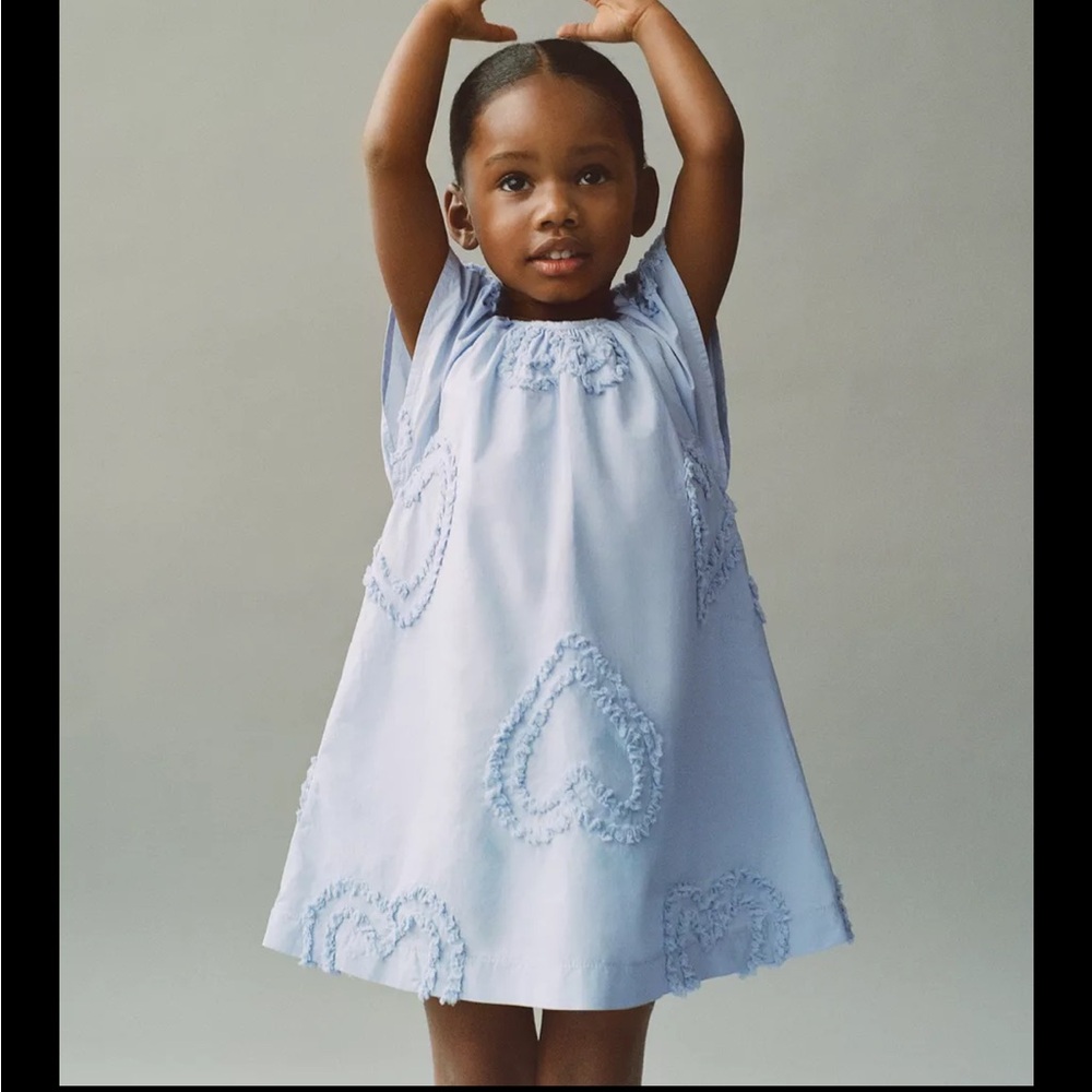 Zara embroidered heart dress